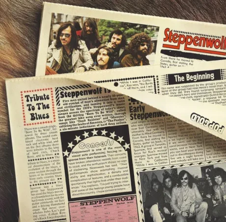 STEPPENWOLF - Pop Gold (LP , Used)