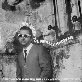 Виниловая пластинка Gary Wilson - You Think You Really Know Me [New Vinyl LP]