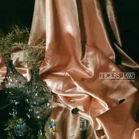 Виниловая пластинка Tigers Jaw – I Won't Care How You Remember Me 2021