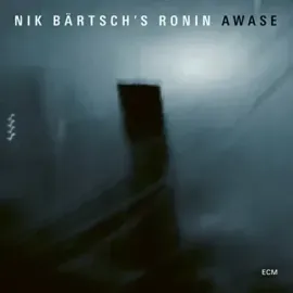 Виниловая пластинка NIK BARTSCH'S RONIN – Awase (2LP)