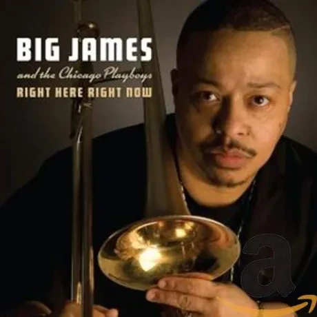 BIG JAMES AND THE CHICAGO PLAYBOYS - Right Here Right Now (CD)