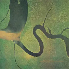 Виниловая пластинка Dead Can Dance – The Serpent's Egg