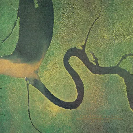 Виниловая пластинка Dead Can Dance – The Serpent's Egg