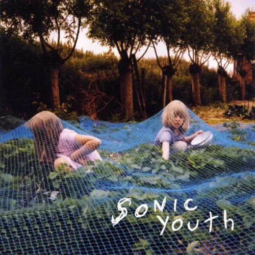 Виниловая пластинка Sonic Youth - Murray Street [New Vinyl LP]