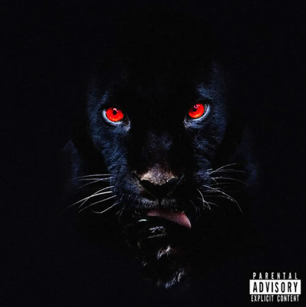 Виниловая пластинка RJ Payne – He's A Fnckin Animal (Релиз 2020)