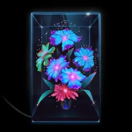 Виниловая пластинка Xenia Rubinos – Una Rosa (Релиз 2021) Sealed