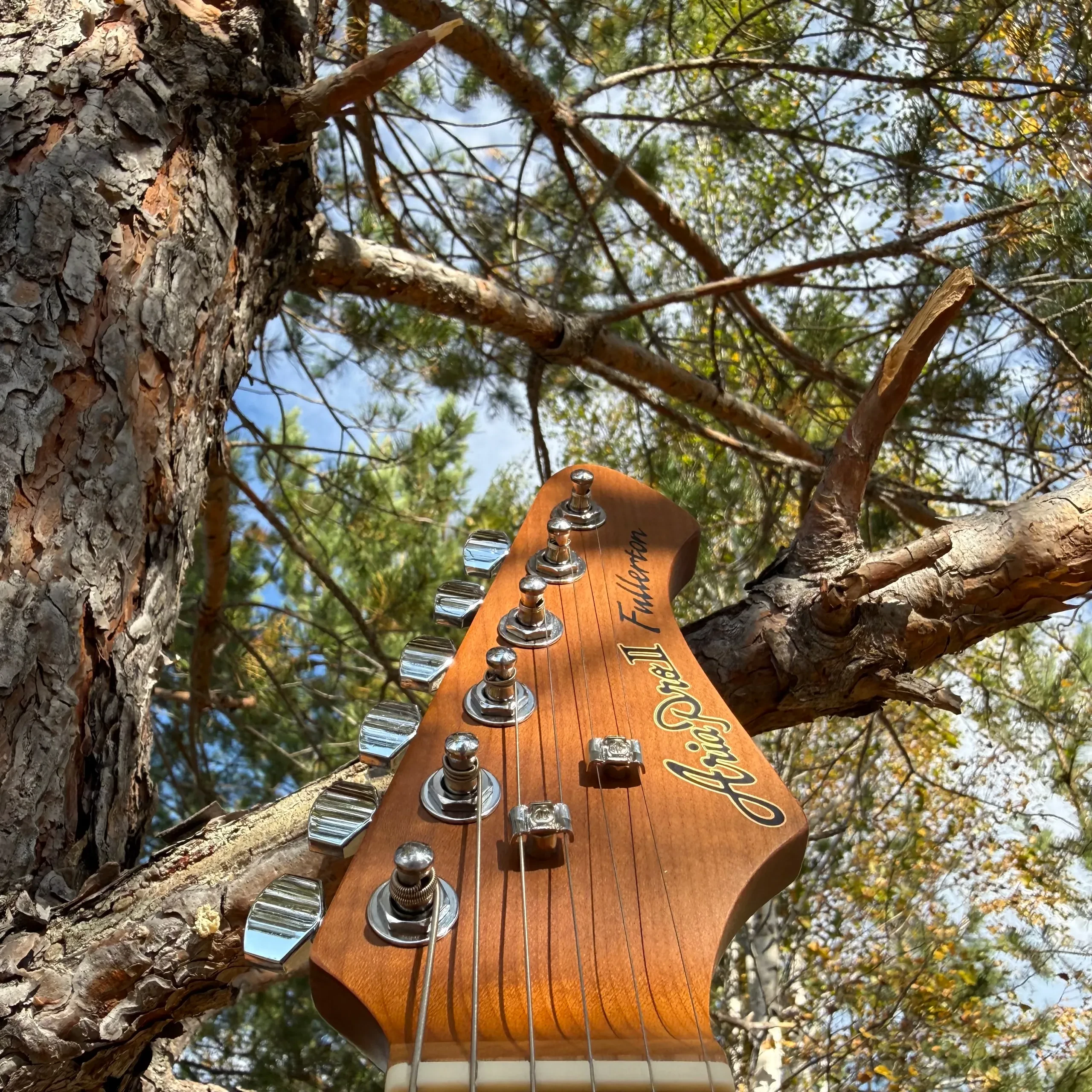 Изображение №5