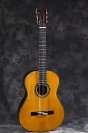 Классическая гитара Martinez DF69-Retro