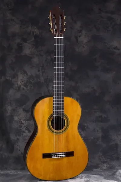 Классическая гитара Martinez DF69-Retro