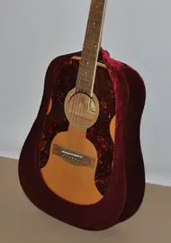 PVG-1 Защитная накидка для гитары, Мозеръ