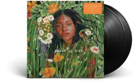Виниловая пластинка Joy Oladokun – Proof Of Life 2023 Sealed