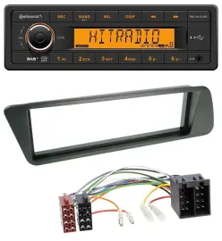 Continental 1DIN DAB MP3 AUX USB Autoradio für Peugeot 306