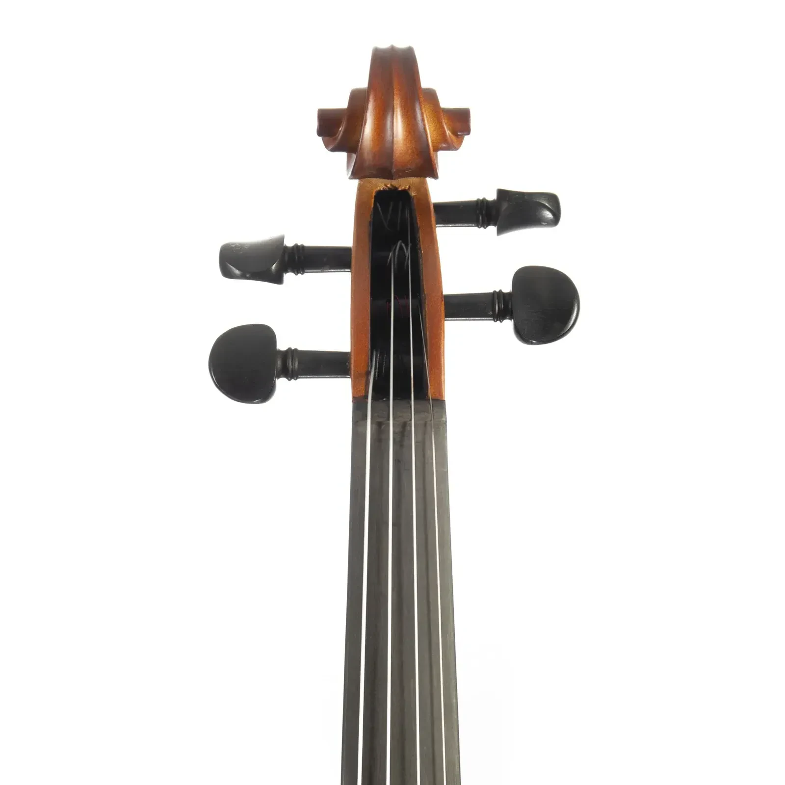 Изображение №5