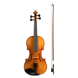 Скрипка Cascha HH-2050 4/4 с футляром и аксессуарами