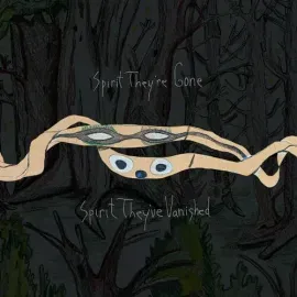 Виниловая пластинка Animal Collective - Spirit They're Gone Spirit They've Vanished [New Vinyl LP] R
