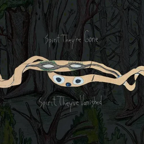 Виниловая пластинка Animal Collective - Spirit They're Gone Spirit They've Vanished [New Vinyl LP] R