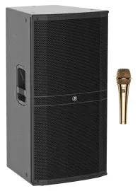 Пассивная акустическая система для PA/DJ Mackie DRM315-P 15" 3-полосная 2000W (набор) с микрофоном sE Electronics V7 GOLD