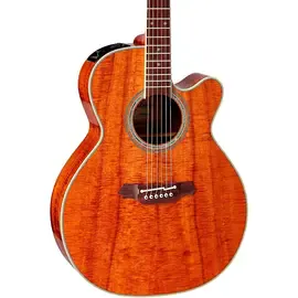 Электроакустическая гитара Takamine EF508KC NEX Natural