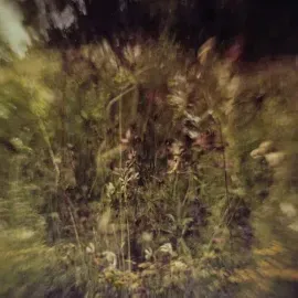 Виниловая пластинка Pluralone – Wile B/w Remembered, фиолетовый винил (Релиз 2022)