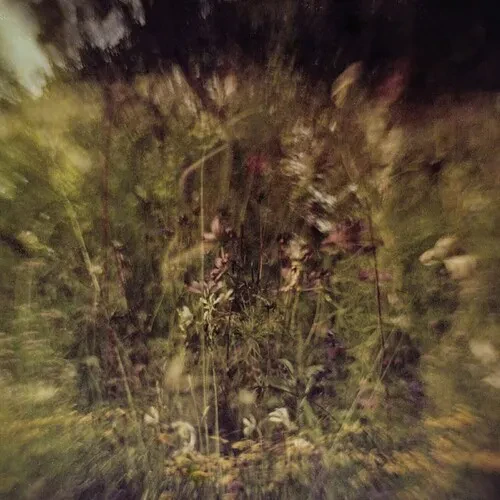 Виниловая пластинка Pluralone – Wile B/w Remembered, фиолетовый винил (Релиз 2022)