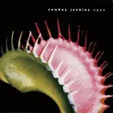 COWBOY JUNKIES - Open (CD)