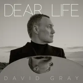 Виниловая пластинка David Gray – Dear Life (Релиз 2025)