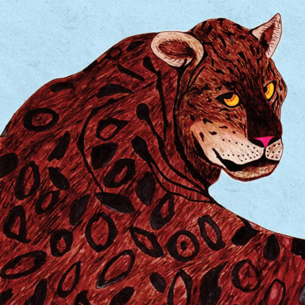 Виниловая пластинка CS Cleaners – What's This? (Релиз 2026)