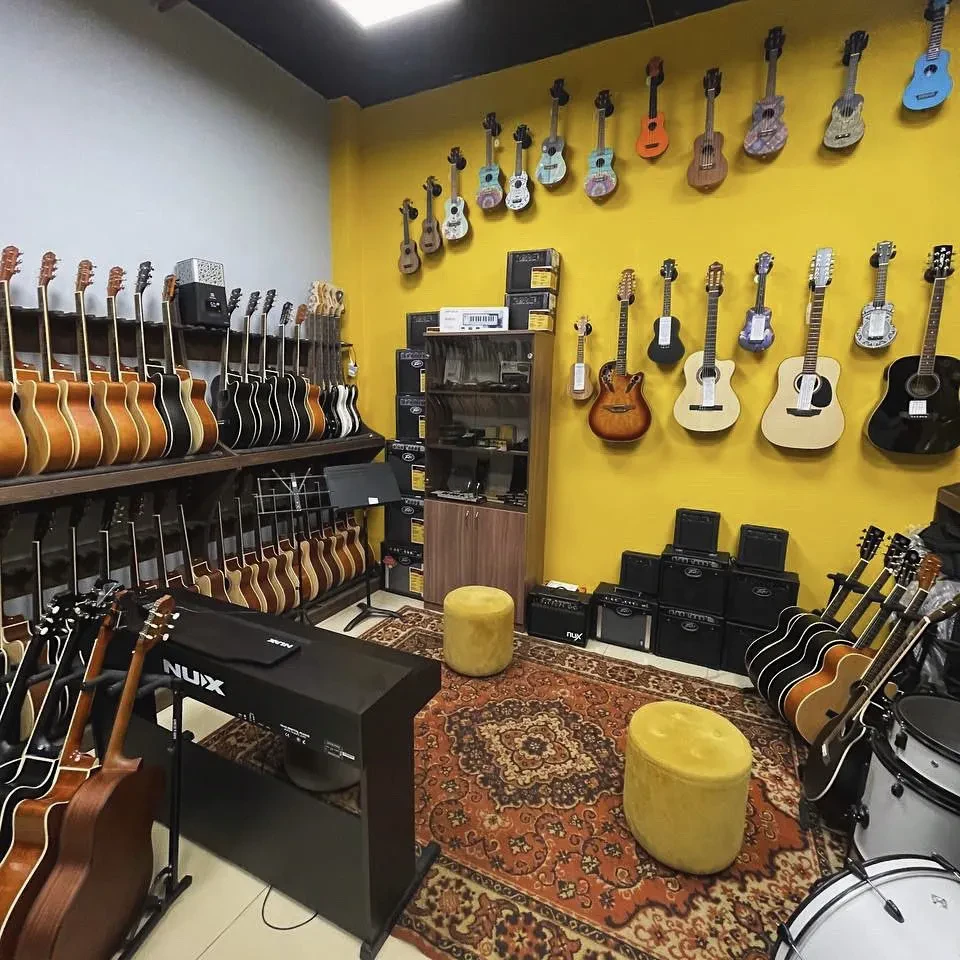 SKIFMUSIC — музыкальный магазин в Находке