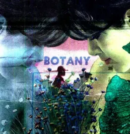 Виниловая пластинка Botany – Feeling Today (Релиз 2011)