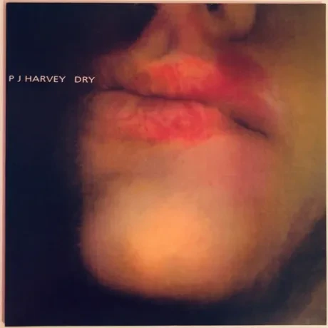 Виниловая пластинка PJ Harvey – Dry