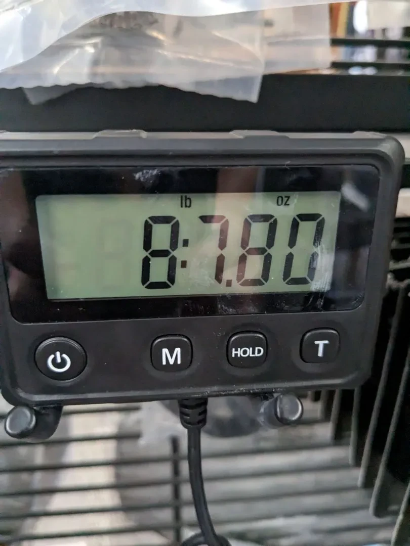 Изображение №2