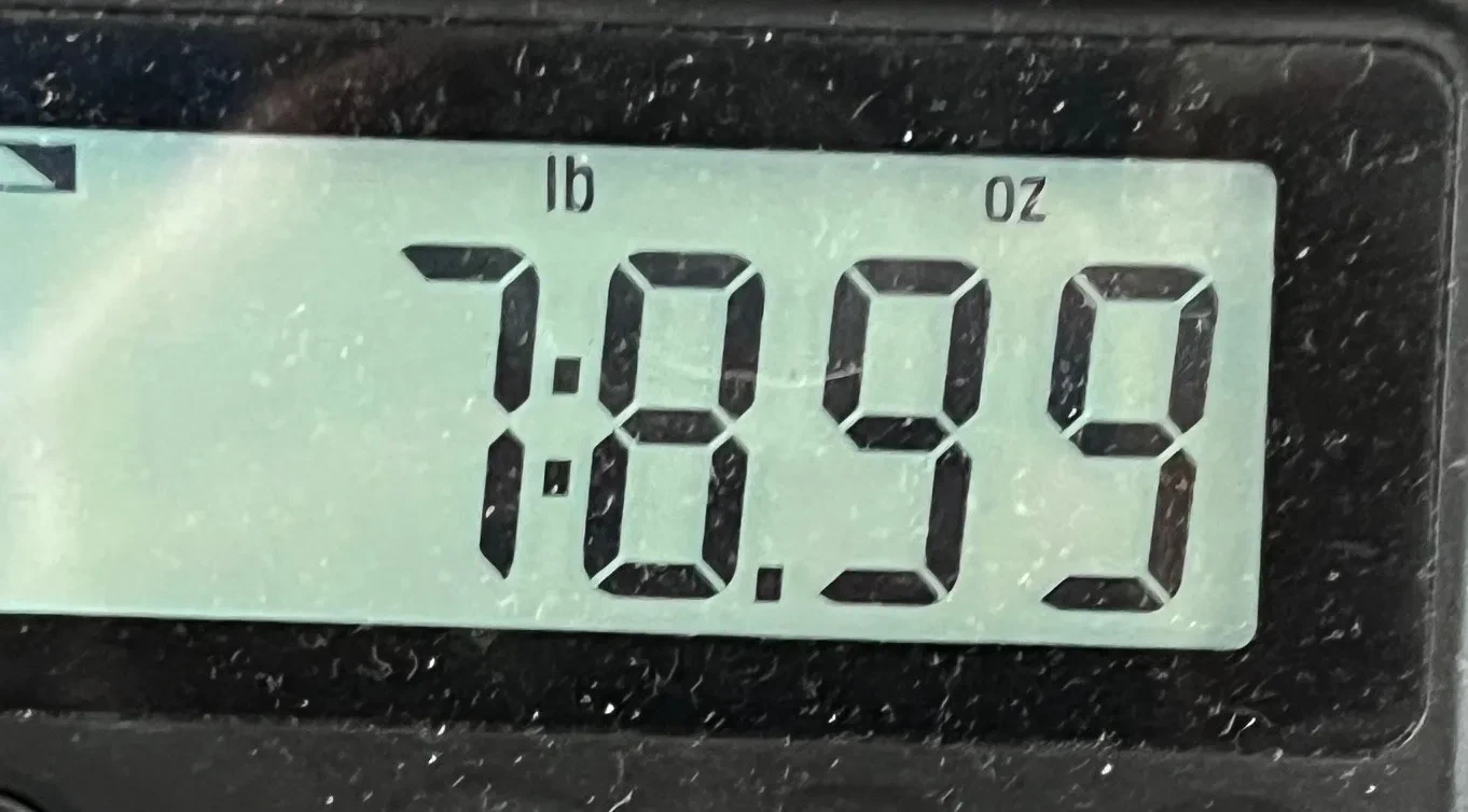 Изображение №7