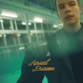Виниловая пластинка Rex Orange County – Apricot Princess Sealed