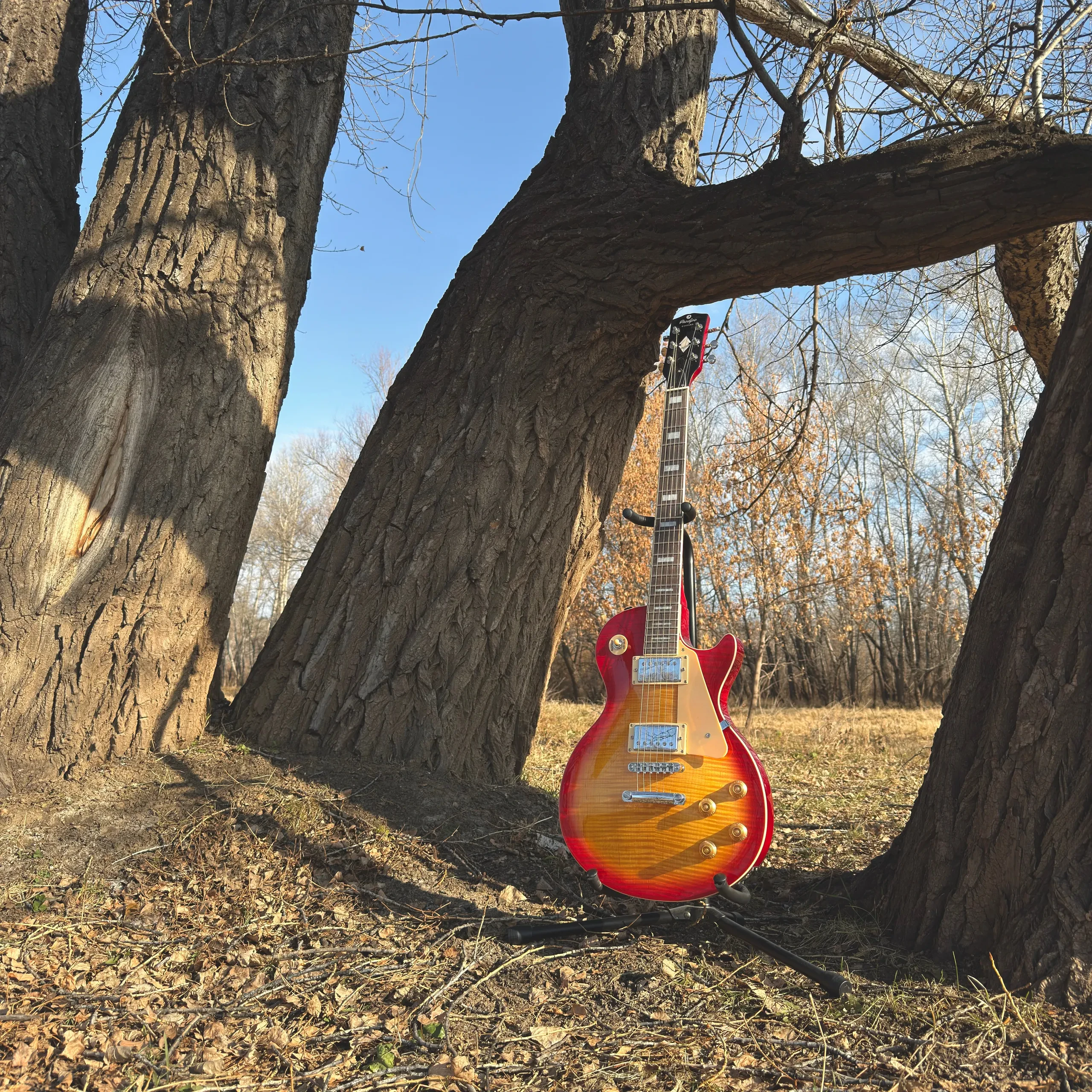 Изображение №8