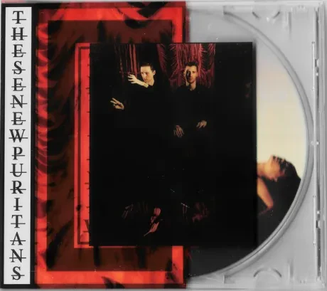 THESE NEW PURITANS - Inside The Rose (CD)