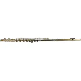 Флейта Di Zhao DZ 100 Student Flute Offset G C-Foot