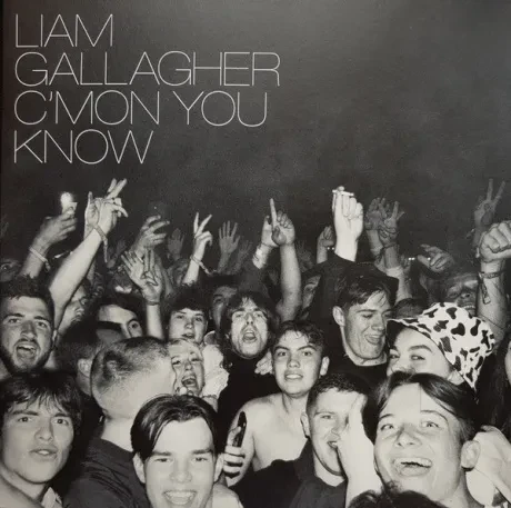 Виниловая пластинка Liam Gallagher – C'Mon You Know
