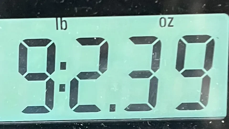 Изображение №9