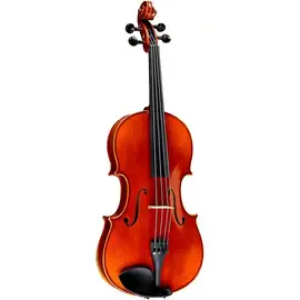 Скрипка Ren Wei Shi Academy II Series Violin Outfit 3/4