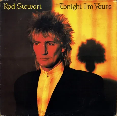 ROD STEWART - Tonight I'm Yours (LP , Used)