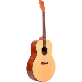 Акустическая гитара Gold Tone Mastertone TG-18 Tenor Guitar With Vintage Design and Bag