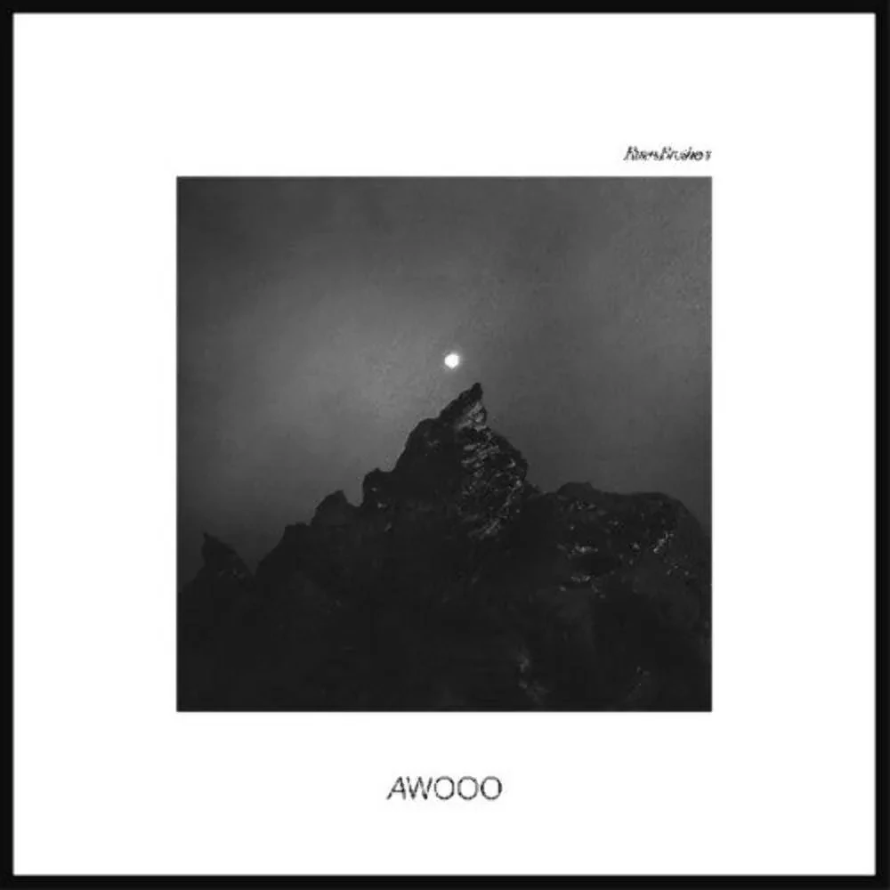 Виниловая пластинка Ruen Brothers – Awooo (Релиз 2025)