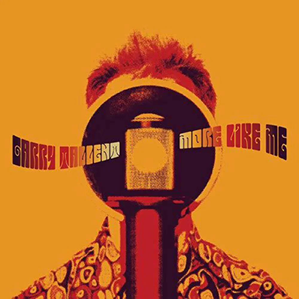 Виниловая пластинка Garry Tallent – More Like Me Sealed