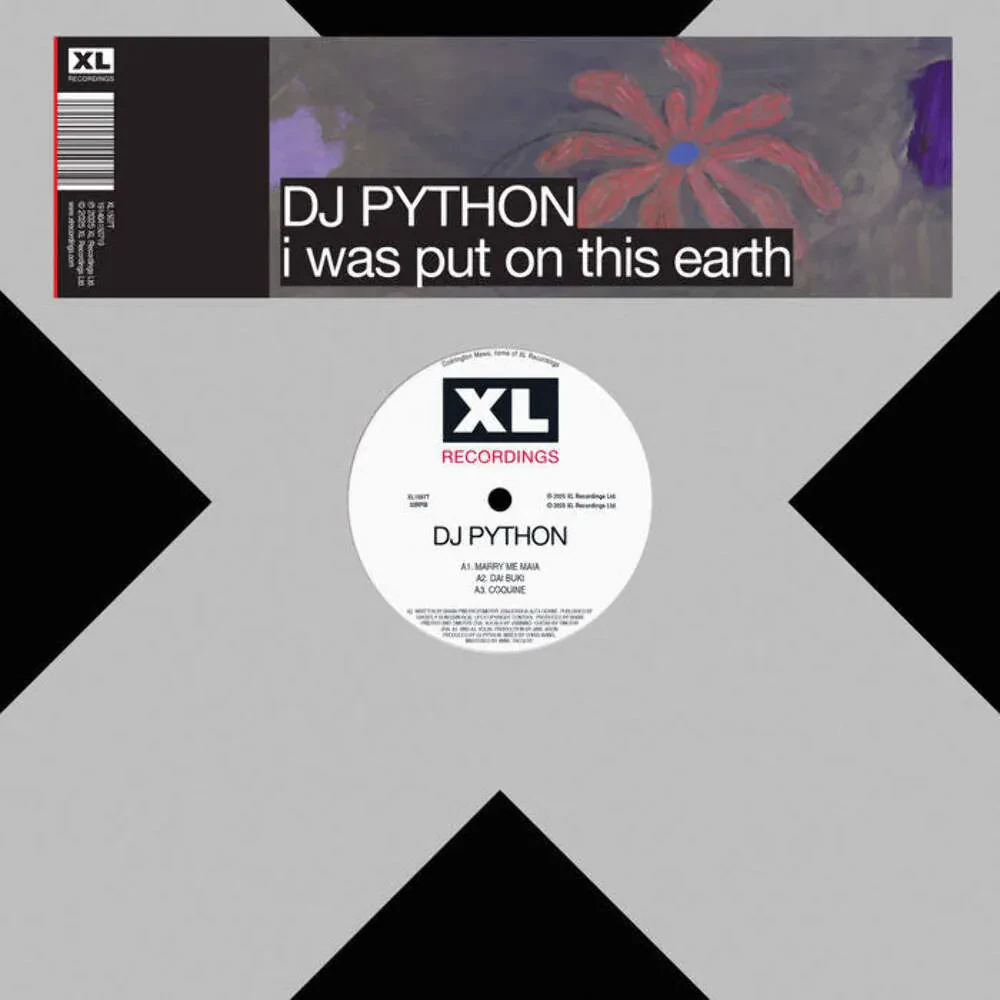 DJ Python - i was put on this earth [12" Single] NEW Vinyl