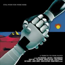 Виниловая пластинка Various Artists - Still Wish You Were Here: A Tribute To Pink Floyd (Various Art