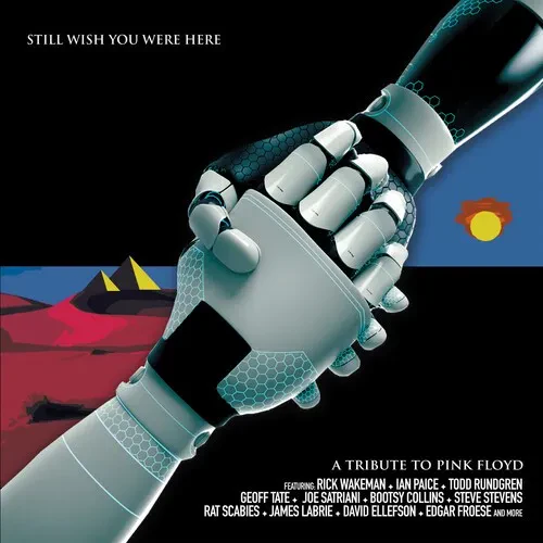 Виниловая пластинка Various Artists - Still Wish You Were Here: A Tribute To Pink Floyd (Various Art