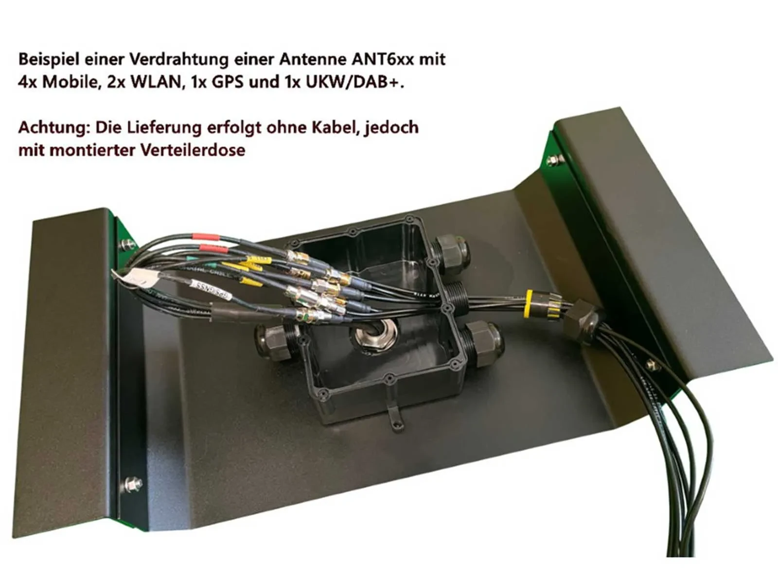 Изображение №9