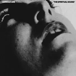 Виниловая пластинка Agriculture – The Spiritual Sound (Релиз 2025)