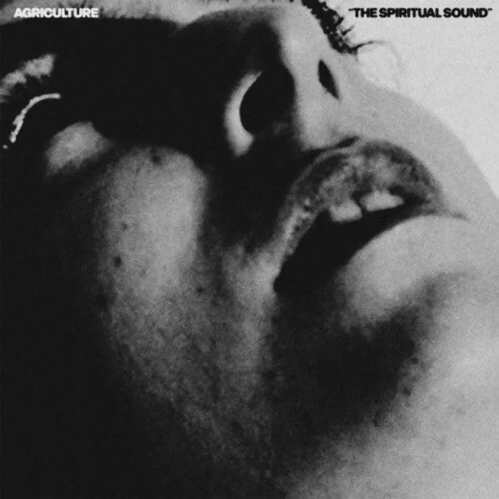 Виниловая пластинка Agriculture – The Spiritual Sound (Релиз 2025)