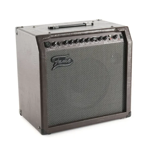 AE-30 Akustikgitarren Verstärker 30W 2-Kanäle Reverb Effektprozessor Mikrofon